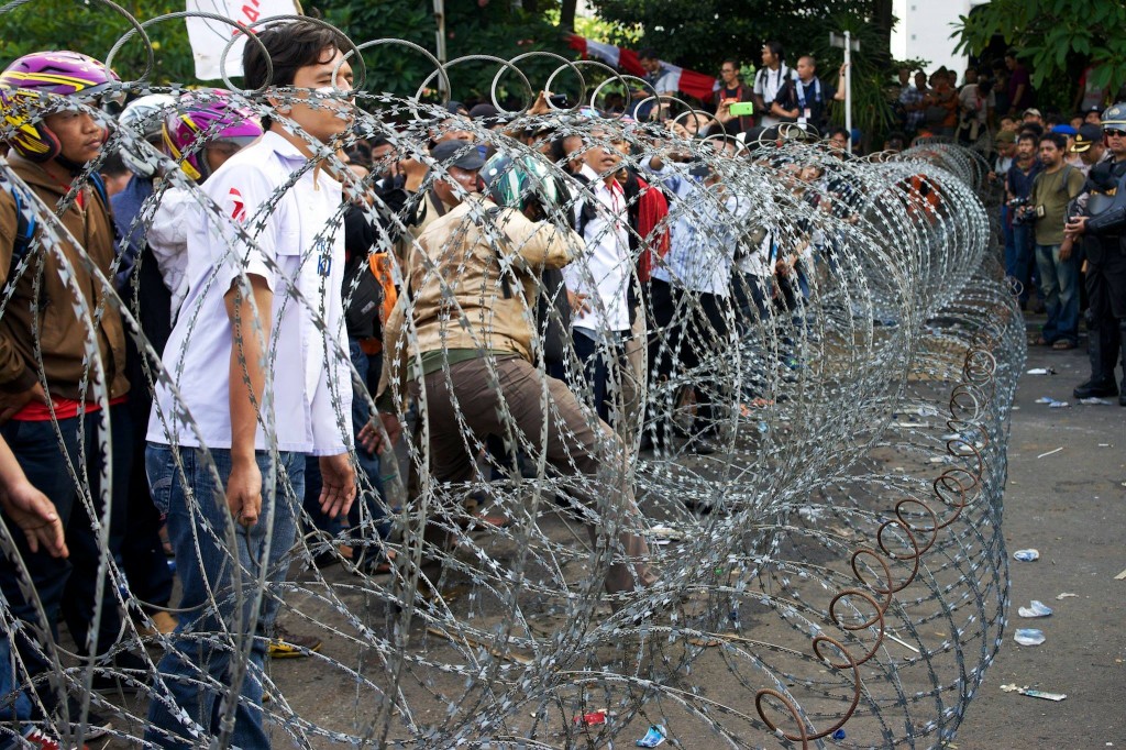 Trying to break through the barbed wire.