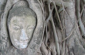 Is religion a tangled web in Myanmar? Photo from Wikimedia commons.