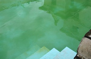 The Sultan's decision has caused ripples in the palace. Photo by James Walsh.