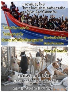 The text on the top picture says тАЬthey come to Thailand and theyтАЩre not satisfied with the food they get. They demand to be given beef. They receive 75 baht per day for doing nothing. They entered our country illegally. Now they are demanding rights!тАЭ The picture below states тАЬthe dogs are happy with whatever they are givenтАЭ. The image seems to follow the argument that itтАЩs better to use money and resources to help Thai street dogs then to help the Rohingya.