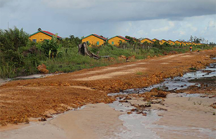 Some of the housing for relocated locals in Botum Sakor national park. Photo supplied.