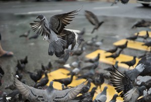 Photo by James Walsh. All rights reserved.