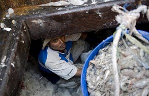 Thailand fishing fleets have profited from human trafficking. Photo by Borja Sanchez-Trillo/Getty Images.