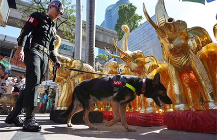 A military police leads a detection dog around Erawan Shrine. Photo by Straits Times/ NEO XIAOBIN. 
