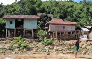 Ban Peng is one of the oldest Lao village in that area and has for long specialized in fluvial trade, connecting overland tracks in the Rmet hills with the Mekong banks. It is (or rather was) nested at the foot of a spectacular cliff, at the bottom of which a Buddha image is carved in the lime and covered with gold. When we arrived, the village was already of the move. Photo: Olivier Evrard