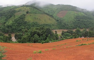 Terraces on a steep slope where the houses of Ban Nalae will soon be resettled. Photo: Olivier Evrard