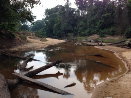 Site of the proposed Areng River dam, which local indigenous villagers and NGO Mother Nature have been resisting. Photo: Sarah Milne