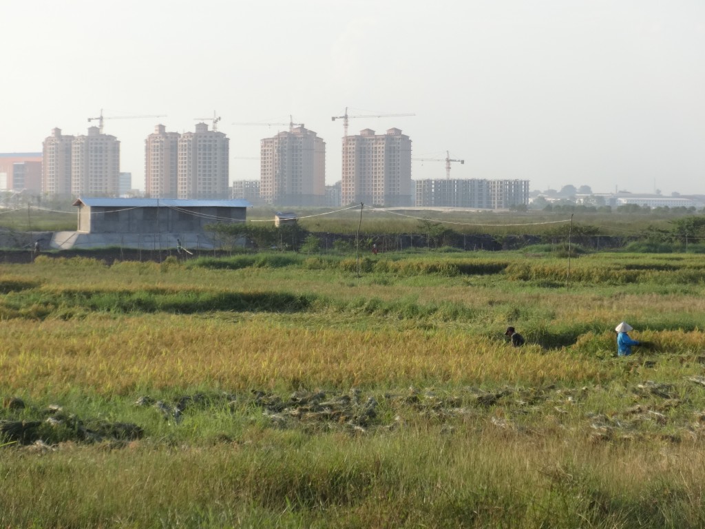 Construction site in the That Luang marshes, Vientiane. Photo: Oliver Tappe