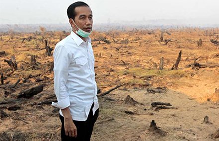 Jokowi-forest-fires-440