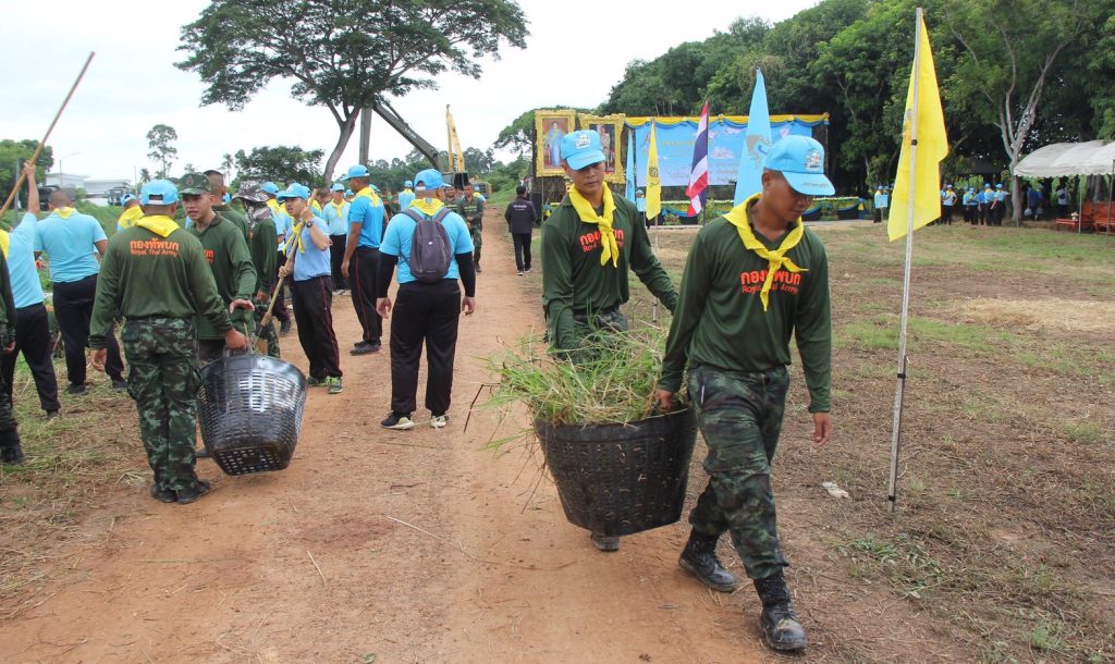 A volunteer cleaning effort on Queen Sirikit's birthday in 2019 (not part of the Volunteer Spirit 904 initiative)