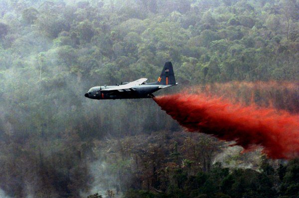 Agent Orange in Vietnam: lingering pain and injustice - New Mandala